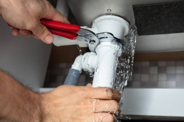 Best Water damage contractors near me  in Granvle, IL