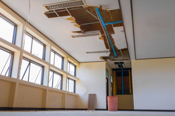 Best Basement water damage restoration  in Granvle, IL