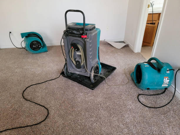 Local water damage restoration in Granville, IL